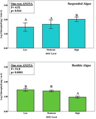 Differential responses for stream algal assemblages exposed to factorial N and P enrichment along an in situ DOC gradient